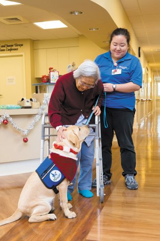 mw-nm-010715-assistance-dogs-of-hawaii-ac-01