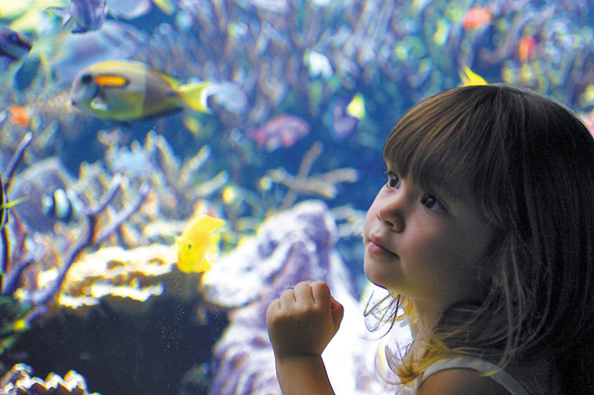 Aquarium Celebrates 110 Years