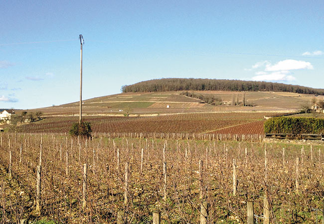 Touring And Tasting The South Of France