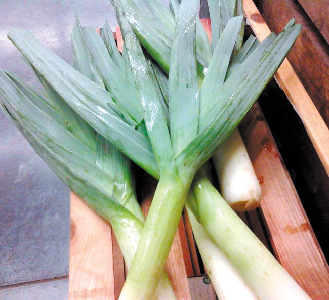 Leeks are regarded as the 'national vegetable' of Wales DIANA HELFAND PHOTO