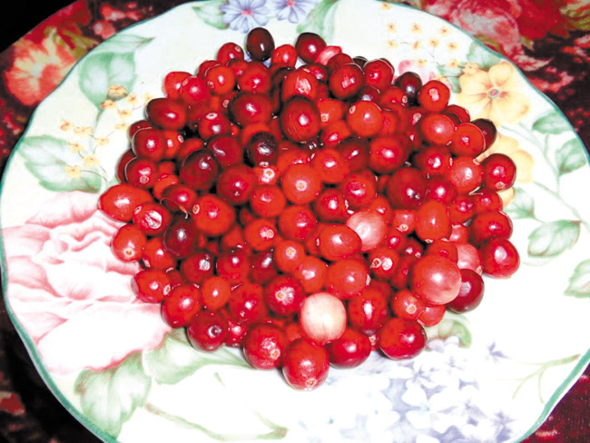 Cranberries contain no fat, no cholesterol, are low in sodium and calories, and rich in antioxidants DIANA HELFAND PHOTO
