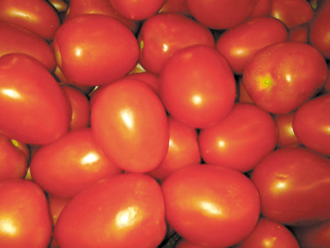 Roma tomatoes are meatier than the round varieties with fewer seeds DIANA HELFAND PHOTO 