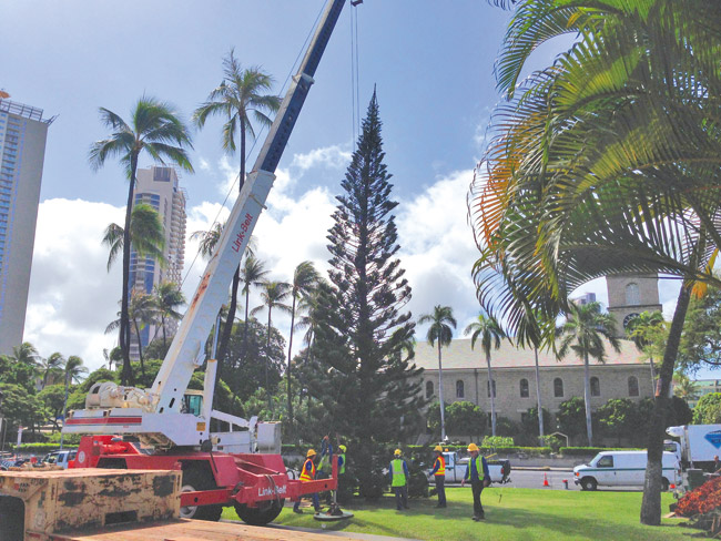 Putting up the tree at Honolulu Hale TANNYA JOAQUIN PHOTO