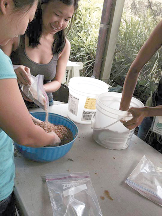 Bokashi mixtures are good for the soil and do not emit odors or require insects. Photo courtesy Board of Water Supply.
