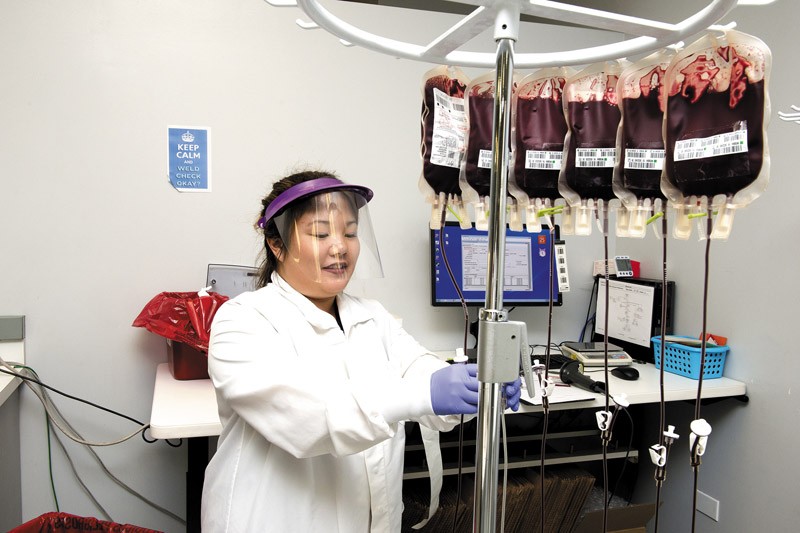 Blood Bank of Hawaii technical services lab assistant Kelsey Nakamura at work 